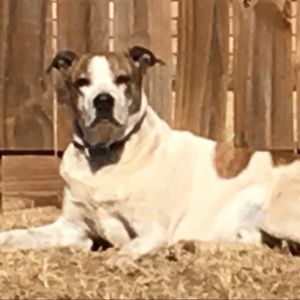 🥂🌷❤️. My rescue! My ❤️❤️❤️